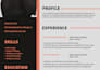 design professional resume for you